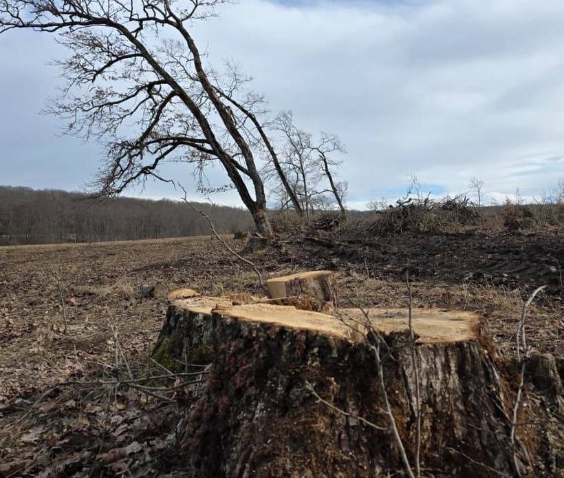 630454611 1494037309394752 7457793480549756740 n