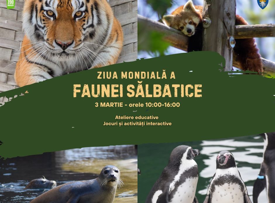 Activitati educative interactive si practice pentru toate varstele la zoo brasov cu ocazia zilei mondiale a faunei salbatice