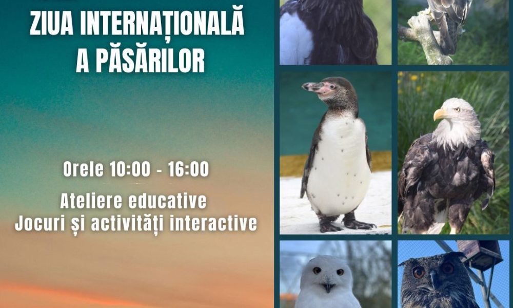 Ziua internatioanala a pasarilor e1774854770747.jpg
