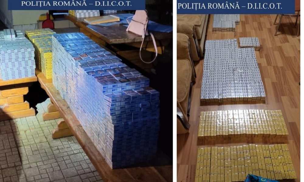 Tigari e1773563950656.jpg