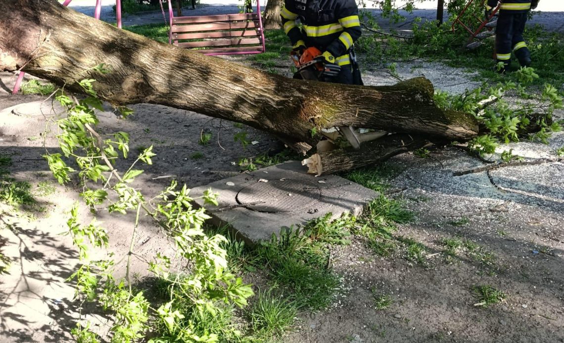 682061029 1397866539051347 7239344197098320209 n.jpg