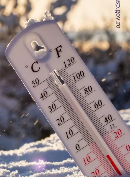 Captura de ecran 2026 01 12 124454.webp.webp