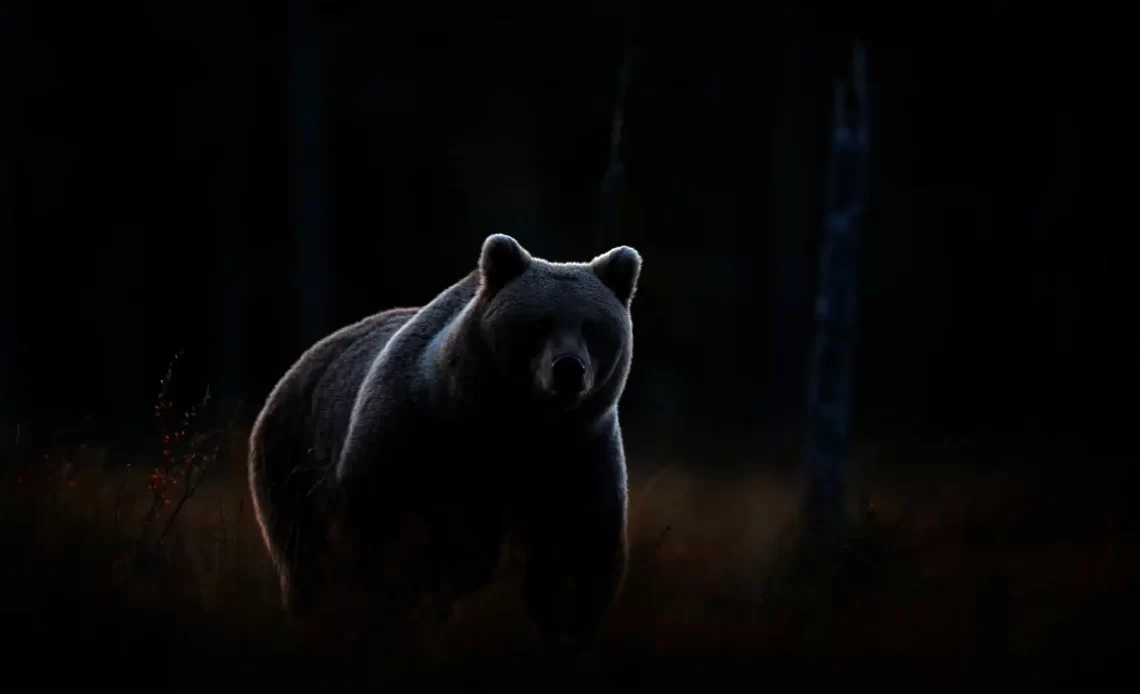 78730.webp