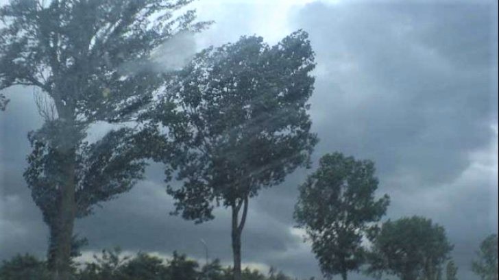 Ploi torentiale 64111500 0.jpg
