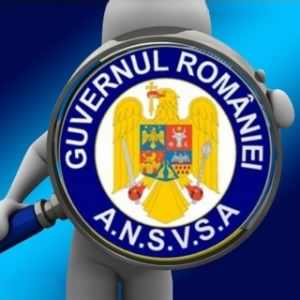 Ansvsa