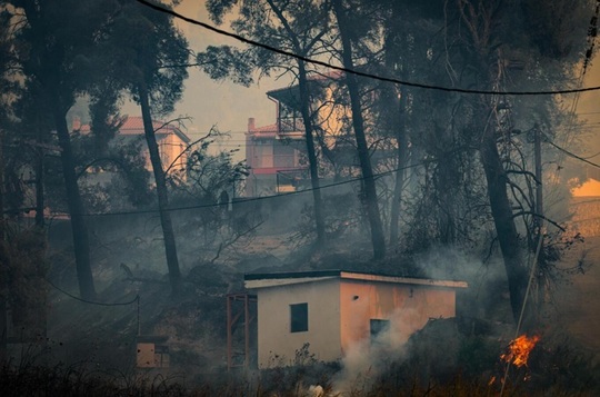 Calcidica incendiu tw1