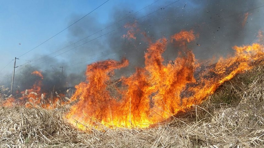 Incendiu arad